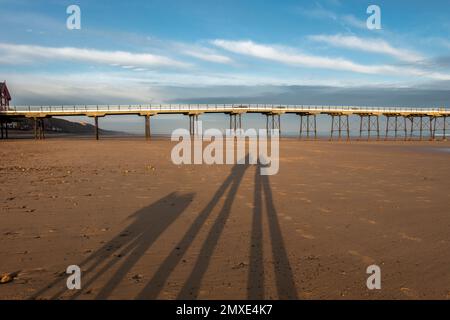 Family shadow selfie with dog at Saltburn-by-the-Sea with the pier and wide sandy beach under blue skies and sunshine. North Yorkshire, UK Stock Photo