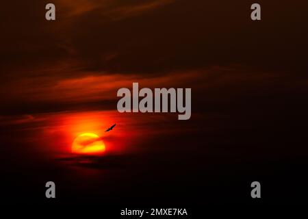NIGHTFLIGHT INTO SUNSET Stock Photo - Alamy