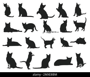 Korat cat animal silhouettes, Cats silhouette collection. Stock Vector