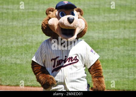 Tc Bear Minnesota Twins Baseball Mascot Stock Photo 11377447