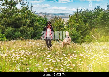 Latin woman and her dog together. Friendship between dog and pet owner. Woman running with her greyhound in nature. Stock Photo