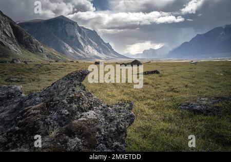 Akshayuk Pass, Auyuittuq National Park landscape view. Baffin Mountains of Nunavut, Canada. Stock Photo