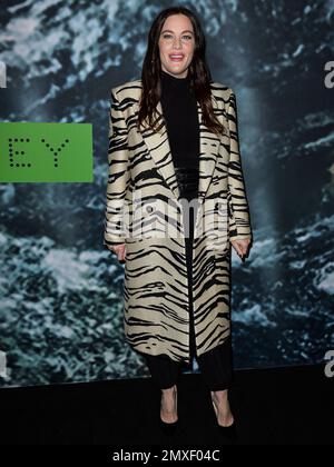 Los Angeles, United States. 02nd Feb, 2023. LOS ANGELES, CALIFORNIA, USA - FEBRUARY 02: Liv Tyler arrives at the Stella McCartney X Adidas Party held at the Henson Recording Studio on February 2, 2023 in Los Angeles, California, United States. ( Credit: Image Press Agency/Alamy Live News Stock Photo