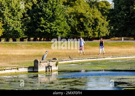 Tolworth & Kingston upon Thames Local area shoot Stock Photo