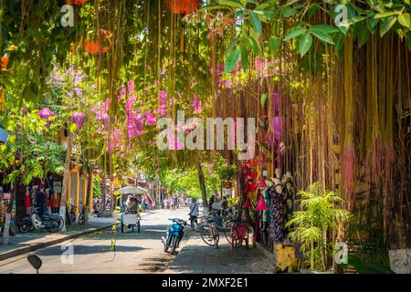 Colourful colorful street with lanterns and hanging purple flowers by day in Hoi An, Vietnam. Stock Photo