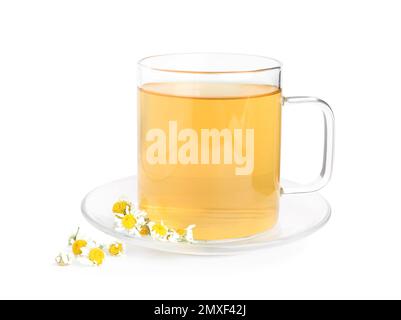 Fresh chamomile tea and dry flowers isolated on white Stock Photo