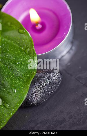black stone with green leave an candel on black stone background Stock Photo
