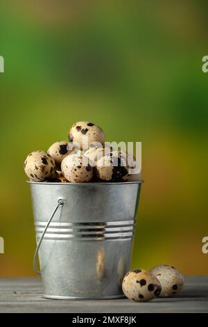 Fresh quail eggs in a small bucket on a natural background Stock Photo