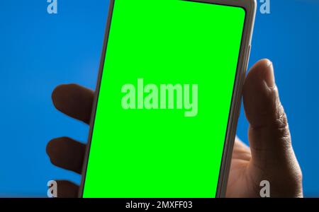 Male hand holding a white mobile phone or cellular phone on blue background. Natural light. Green screen. Stock Photo