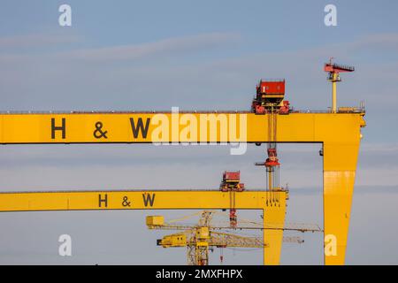 H&W Belfast cranes. Famous yellow shipyard cranes Goliath and Samson sunny day Harland & Wolff shipyard heavy industry Belfast Northern Ireland. Stock Photo
