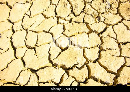 Cracked earth pattern background Stock Photo