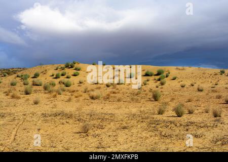 Stormy weather in the Thar desert Stock Photo