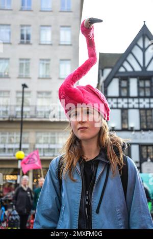 Young protestor, Extinction Rebellion protest 'Unite for Justice', an action to raise the alarm on the UK justice system, Royal Courts of Justice, Lon Stock Photo