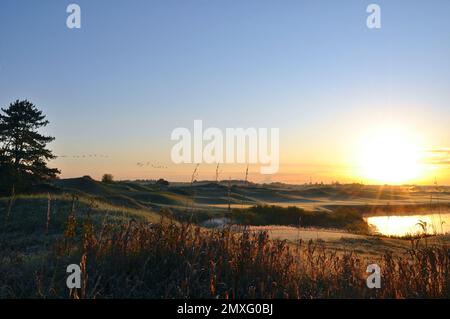 Sunrise on the golf course with the migration bird flying Stock Photo