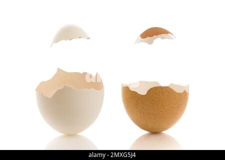 Two chicken eggs isolated on a white background.  Combined with the eggshell hat it can be used for composite images. Stock Photo