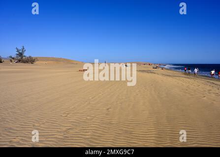 People relaxing around the sand dunes and on the long expansive beach of  Maspalomas, Gran Canaria Stock Photo