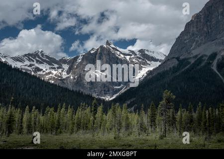 Overhanging mountain behin the forest at Emerald lake in Canada Stock Photo