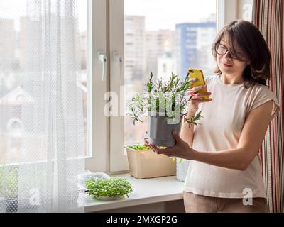 Woman is taking photos of pink carnation and microgreens on windowsill. Growing flowers and edible organic plants for healthy nutrition. Gardening at Stock Photo