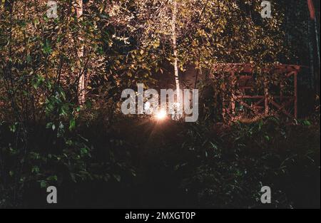 Silhouettes of two girls friends sitting by the flames of a fire under the trees next to the gazebo at night. Stock Photo