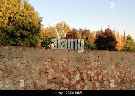 old different textured wall Stock Photo