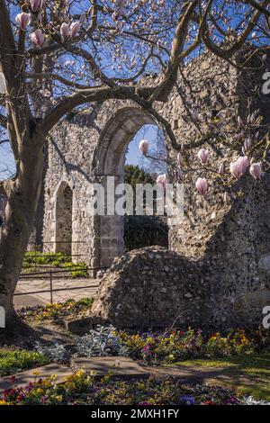 View through the archway of the City wall in Westgate Gardens, Canterbury, Kent, England Stock Photo