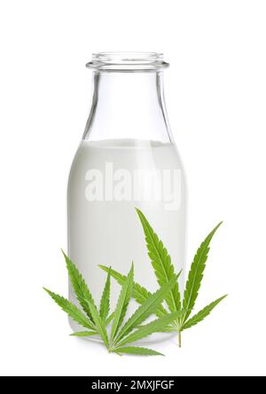 Bottle of hemp milk and fresh leaves on white background Stock Photo