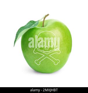 Green poison apple with skull and crossbones image on white background Stock Photo