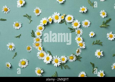 Frame made with fresh chamomiles on blue-gray background, flat lay. Space for text Stock Photo