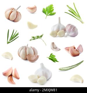Set of fresh garlic and different seasonings on white background Stock Photo