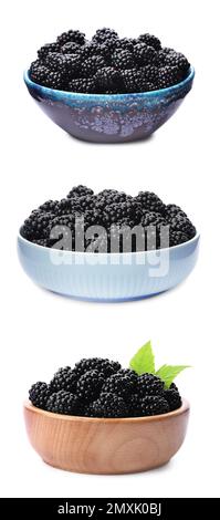 Set of ripe blackberries in bowls on white background Stock Photo