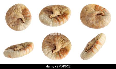 Dried fig fruits falling on white background. Banner design Stock Photo