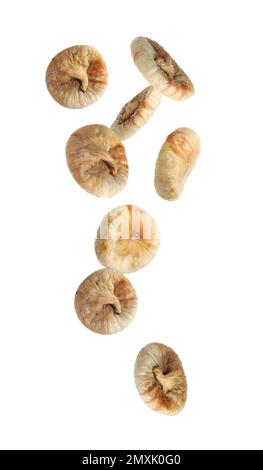 Dried fig fruits falling on white background Stock Photo
