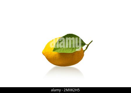 lemon fruit with leaf isolated on white background Clipping Path Stock Photo