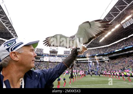 Seahawks mascot flies into crowd, lands on fan