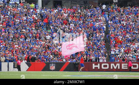 LeSean McCoy TD - Bills vs. Jaguars, 11/27/16 