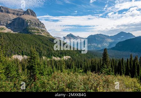View over a valley with forest, vantage point, Going-To-The-Sun-Road, Glacier National Park, Montana, USA, North America Stock Photo