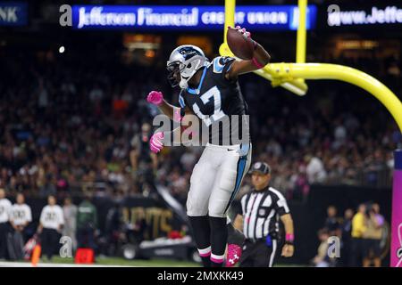 Carolina Panthers wide receiver Devin Funchess celebrates a first