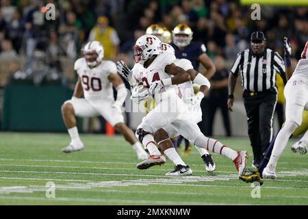 Photo: Stanford Cardinal CB Quenton Meeks (24) runs back interception for a  touchdown at the Rose Bowl - LAP20160101406 