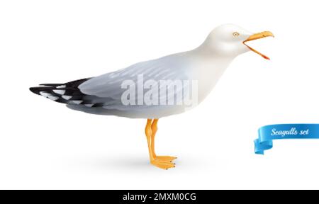 Crying seagull realistic composition with isolated image of sea bird with open beak on blank background vector illustration Stock Vector