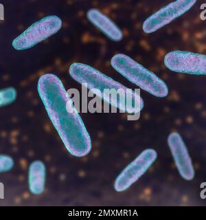 Eikenella bacteria, illustration Stock Photo - Alamy