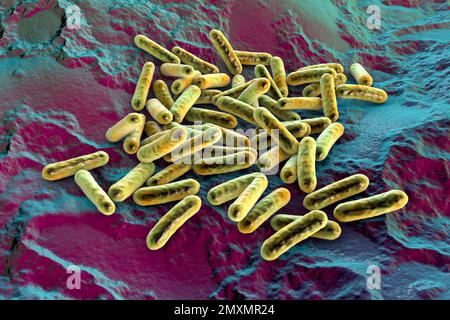 Morganella morganii bacteria, illustration Stock Photo