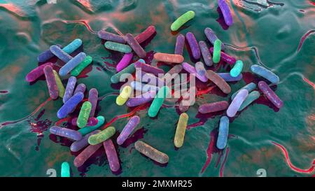 Morganella morganii bacteria, illustration Stock Photo