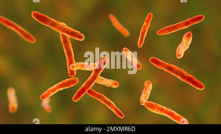 Mycobacterium bovis bacteria, illustration Stock Photo