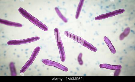 Mycobacterium bovis bacteria, illustration Stock Photo