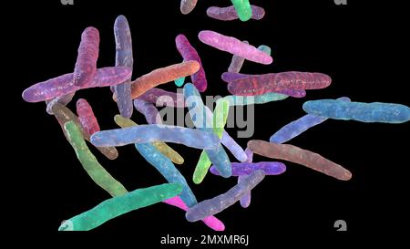 Mycobacterium bovis bacteria, illustration Stock Photo