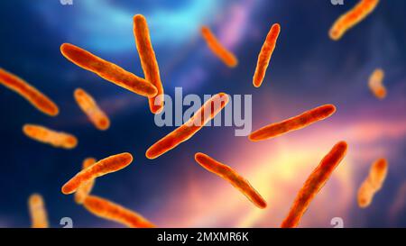 Mycobacterium bovis bacteria, illustration Stock Photo