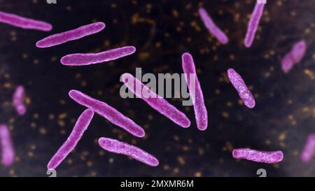 Mycobacterium bovis bacteria, illustration Stock Photo