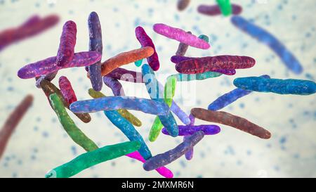 Mycobacterium bovis bacteria, illustration Stock Photo