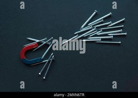 Horseshoe magnet holding a bunch of nails on a black background. Stock Photo