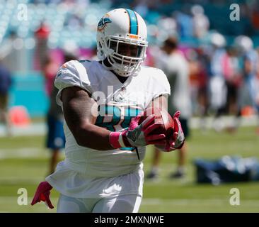 Miami Dolphins tight end Dominique Jones (85) on the field before